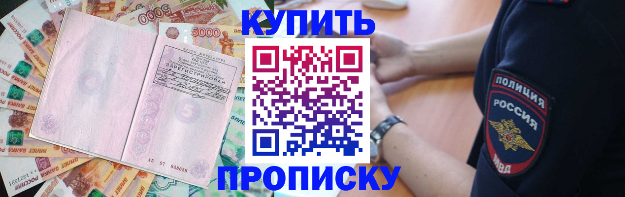 временная регистрация поиск в Новосибирской области